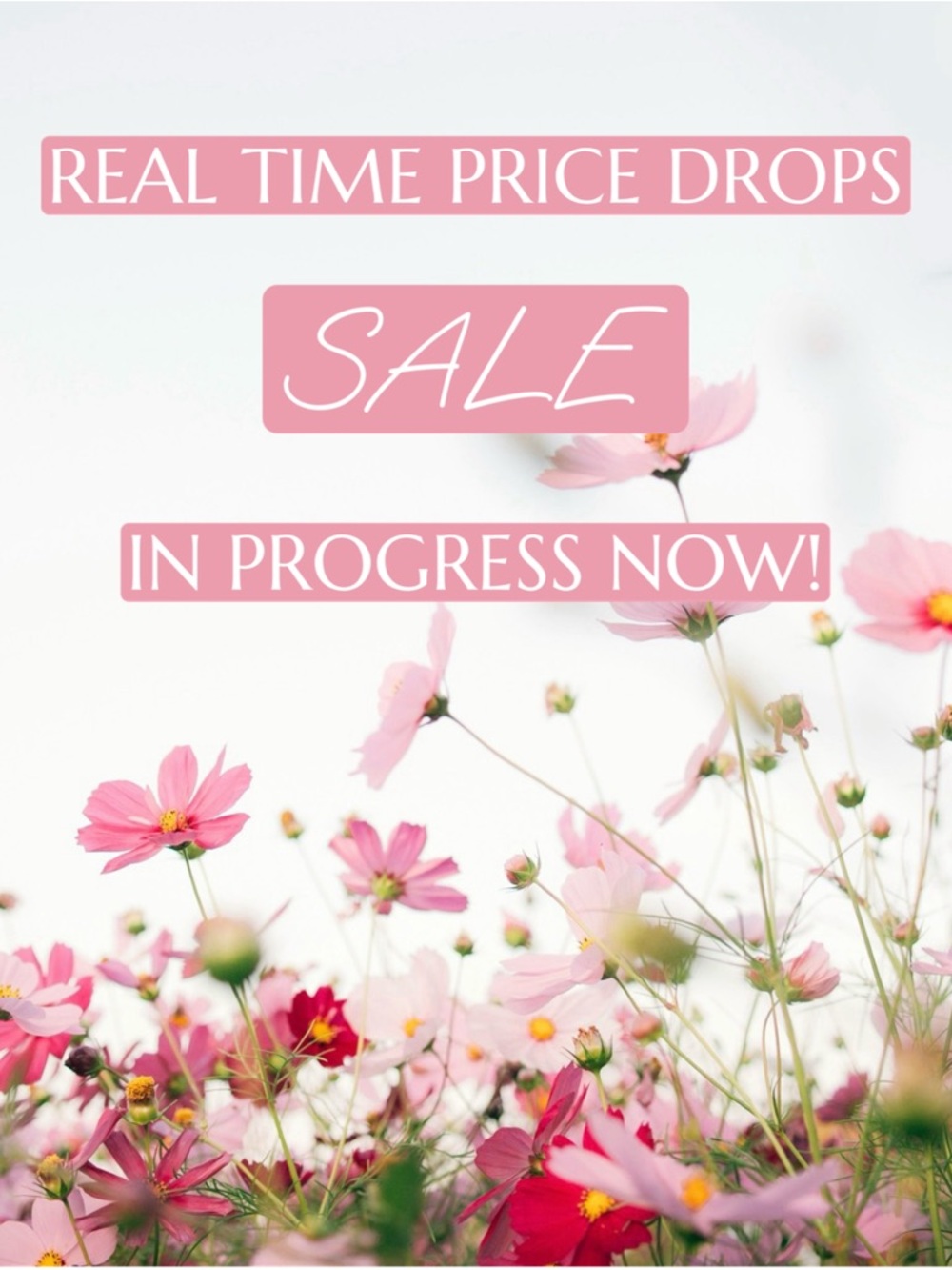 Price Drops Happening Now!